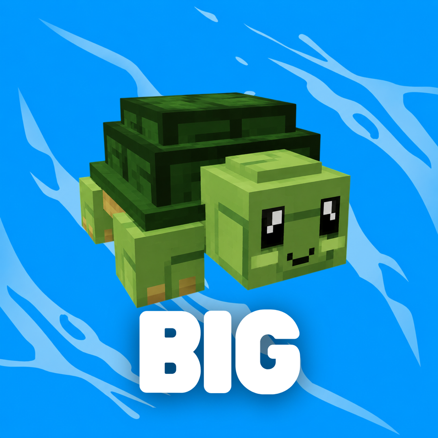 BIG Turtle