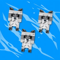 Raccoon