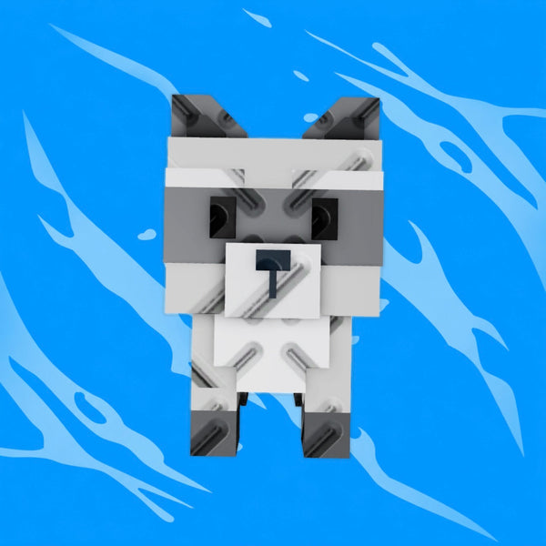 Raccoon