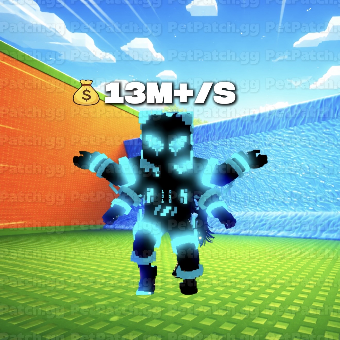 13M/S Big Meta Technetta