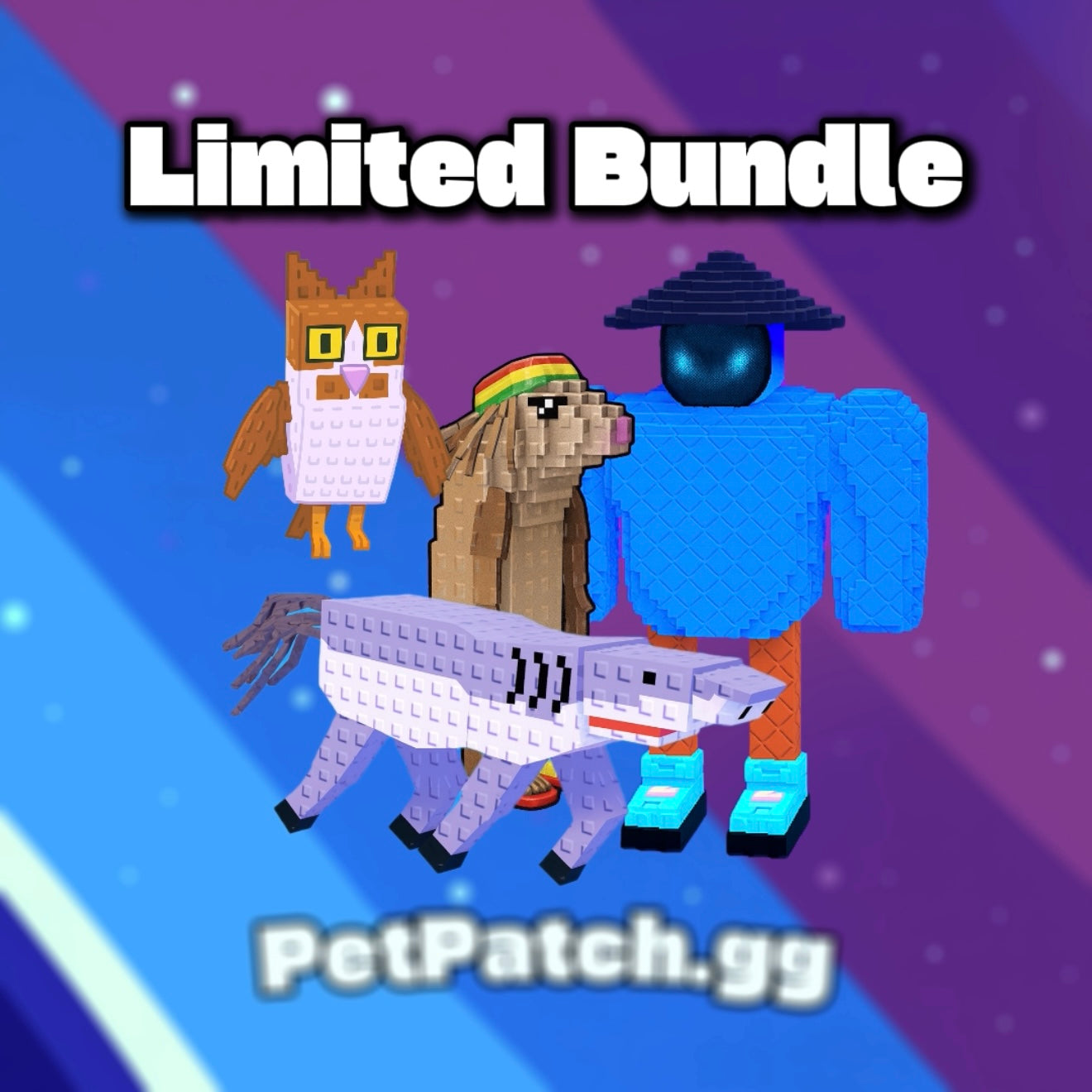 Limited Bundle