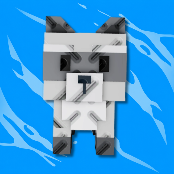 Raccoon