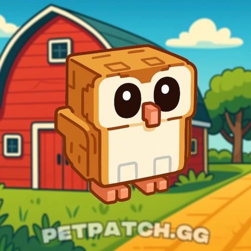 Barn Owl