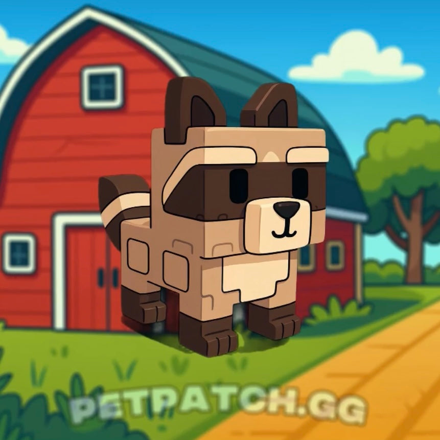Raccoon